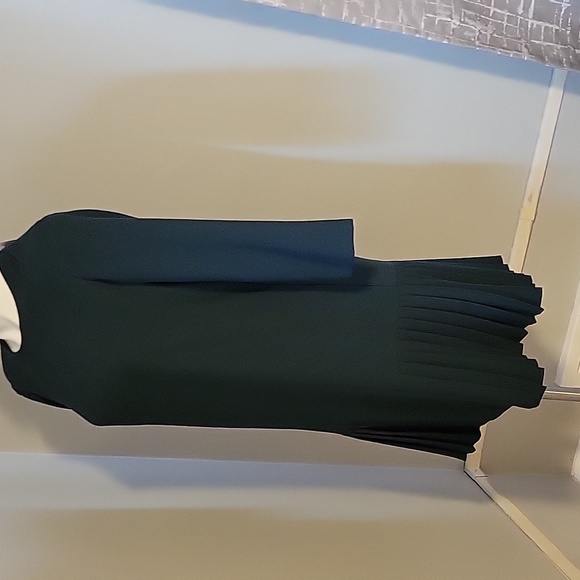 NWT Ann Taylor Dress - Picture 5 of 6